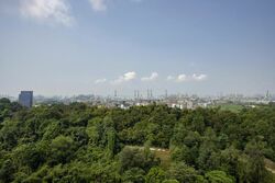 Normanton Park (D5), Apartment #512401621